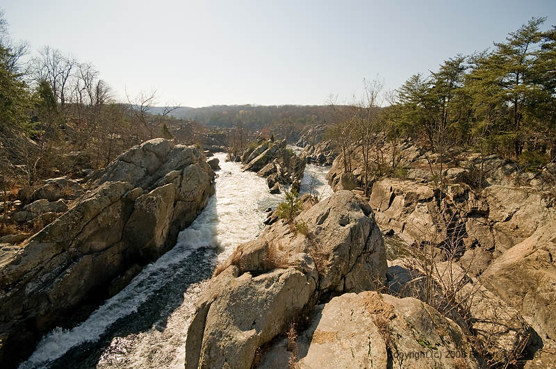 DSC_1295.jpg