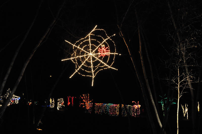 DSC_1353.jpg