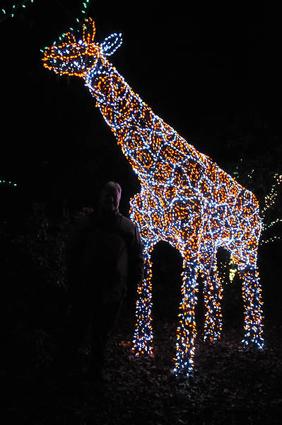 DSC_1372.jpg