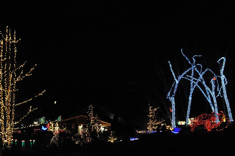 DSC_1388.jpg