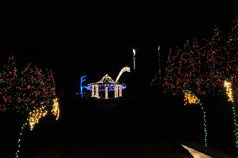 DSC_1441.jpg