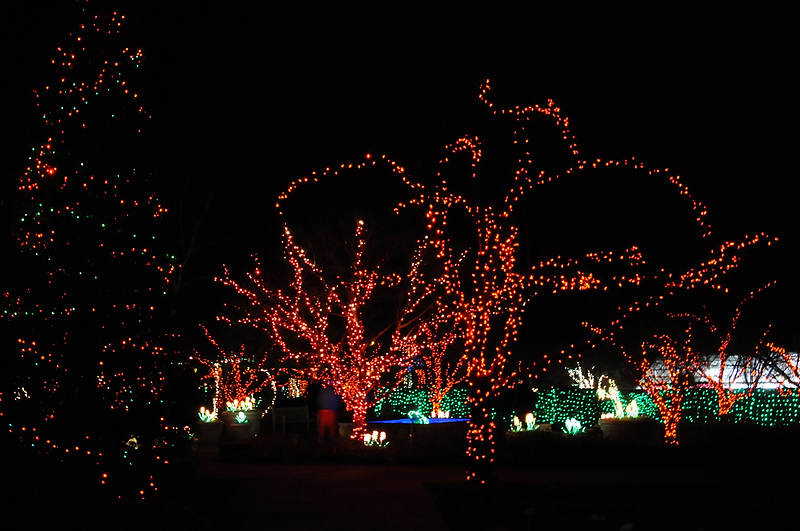 DSC_1443.jpg