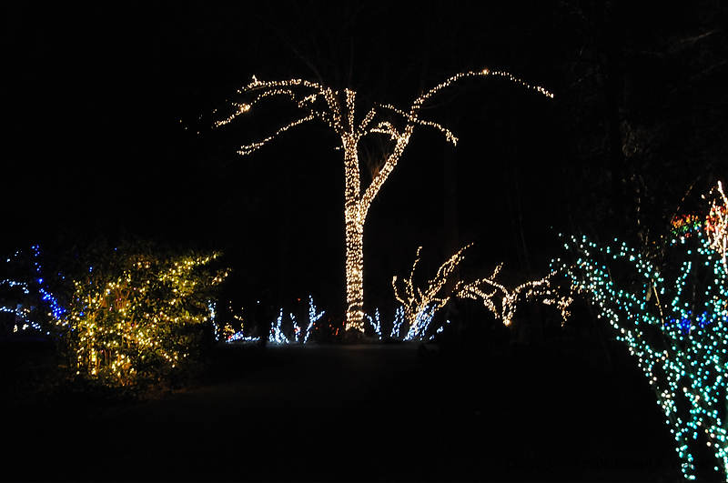 DSC_1459.jpg