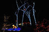 (Waterfall & Flying Cardinal) Brookside Gardens' Garden of Light