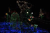 (Nessie & Baby) Brookside Gardens' Garden of Light