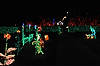 (Animal Menagerie) Brookside Gardens' Garden of Light