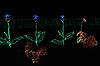 (Animal Menagerie) Brookside Gardens' Garden of Light