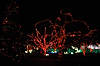 Brookside Gardens' Garden of Light