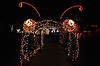 (Giant Caterpillar) Brookside Gardens' Garden of Light