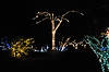 Brookside Gardens' Garden of Light