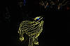 (Wolf in Children's Garden) Brookside Gardens' Garden of Light