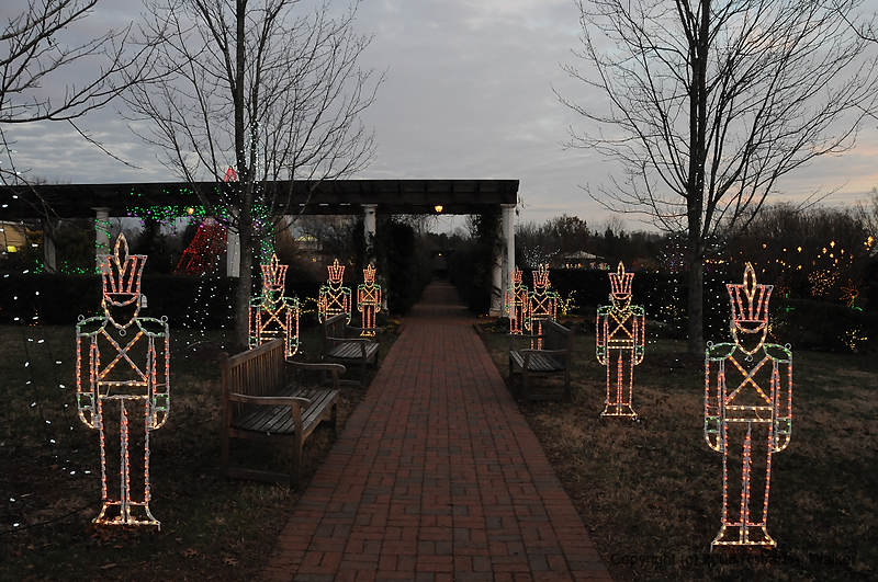 DSC_1762.jpg