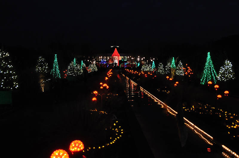 DSC_1815.jpg
