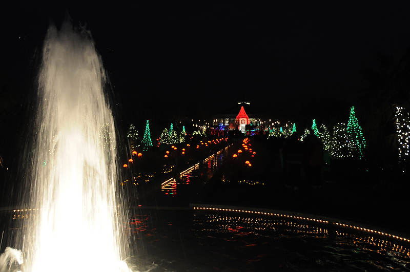 DSC_1821.jpg