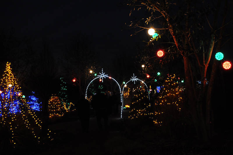 DSC_1825.jpg