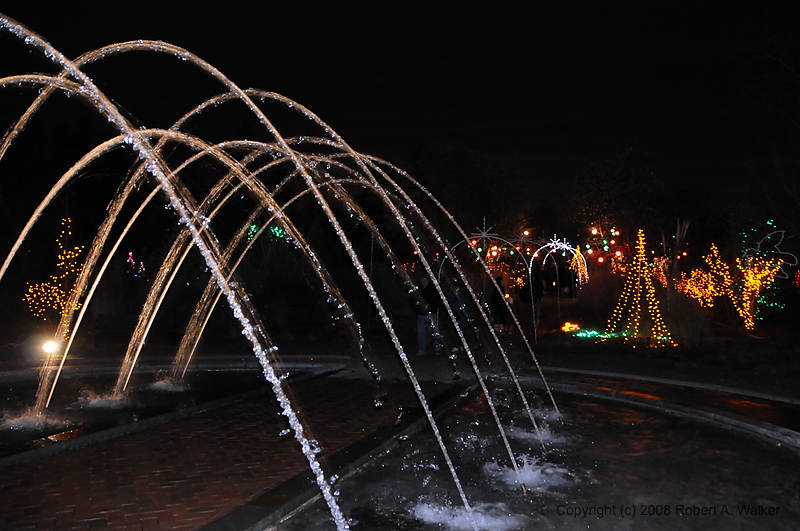 DSC_1841.jpg