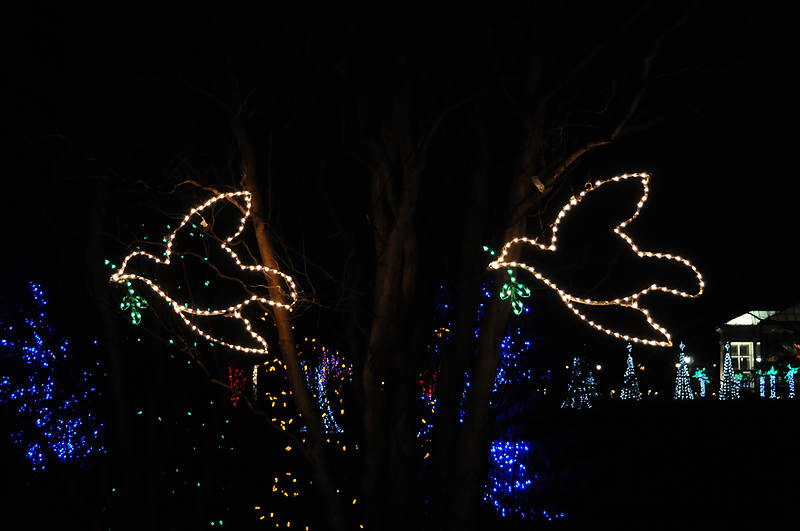 DSC_1845.jpg