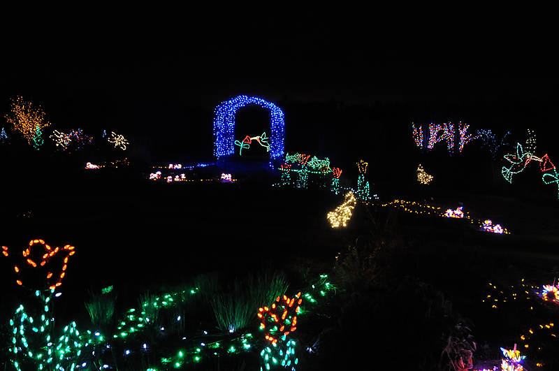 DSC_1854.jpg