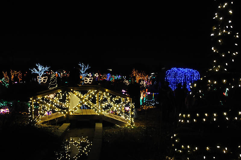 DSC_1863.jpg