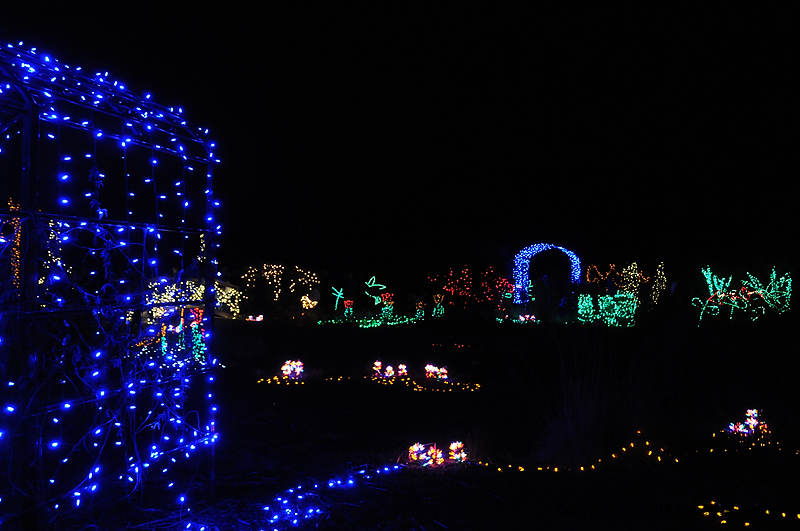 DSC_1867.jpg