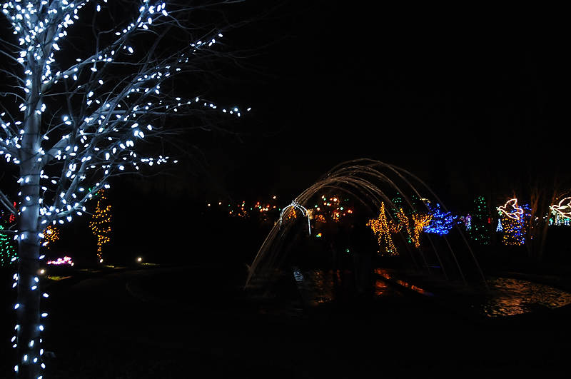 DSC_1872.jpg