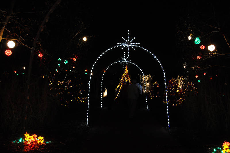 DSC_1876.jpg