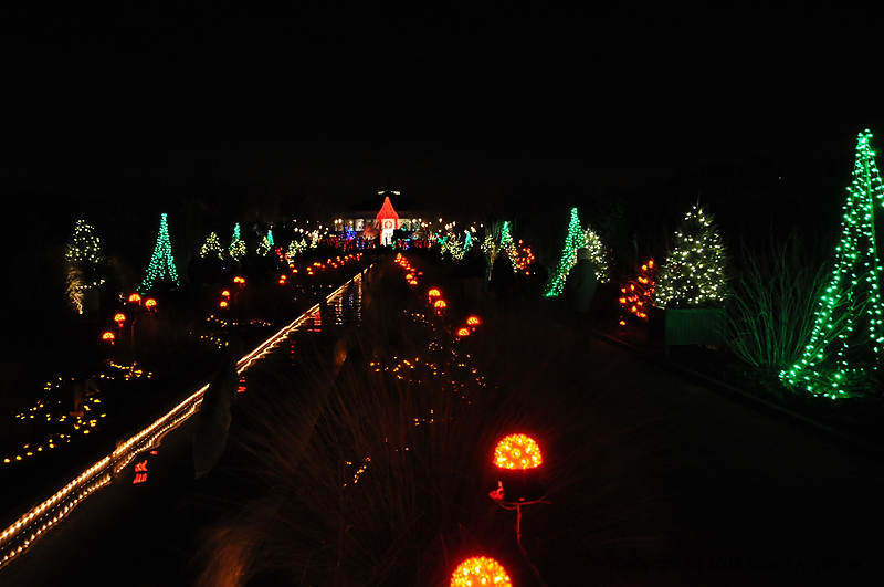 DSC_1880.jpg