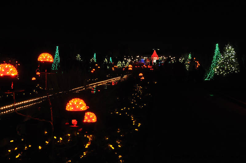 DSC_1881.jpg