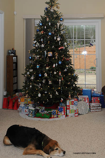 DSC_1926.jpg