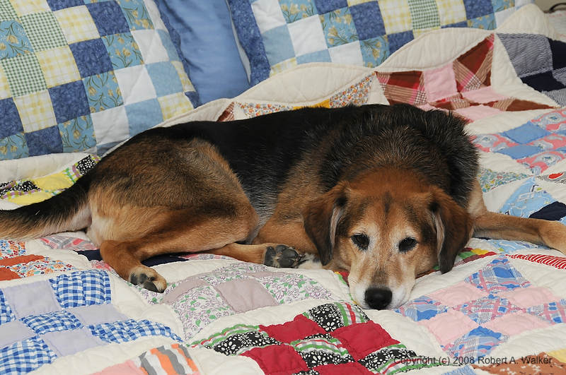 DSC_1932.jpg