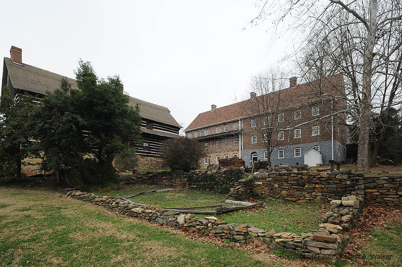 DSC_2262.jpg
