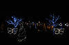 Scroll Garden