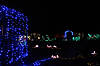 Scroll Garden