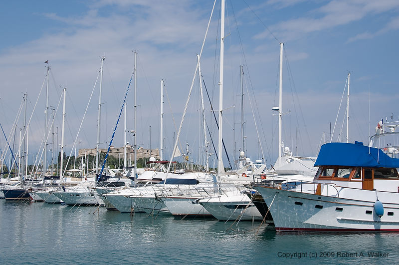 DSC_0596.jpg