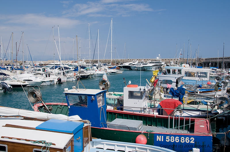 DSC_0606.jpg