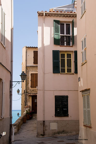 DSC_0679.jpg