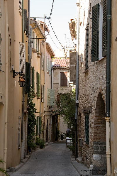 DSC_0687.jpg