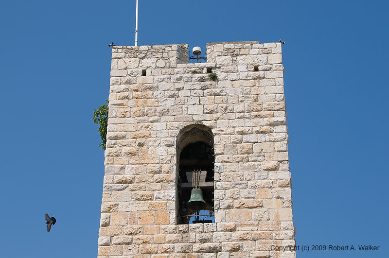 DSC_0693.jpg