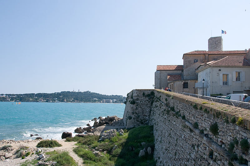 DSC_0702.jpg