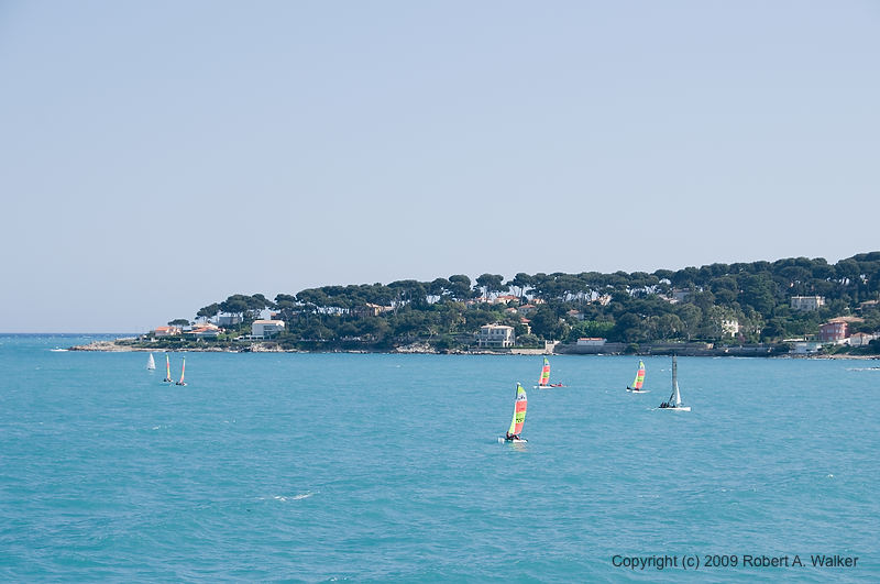 DSC_0725.jpg