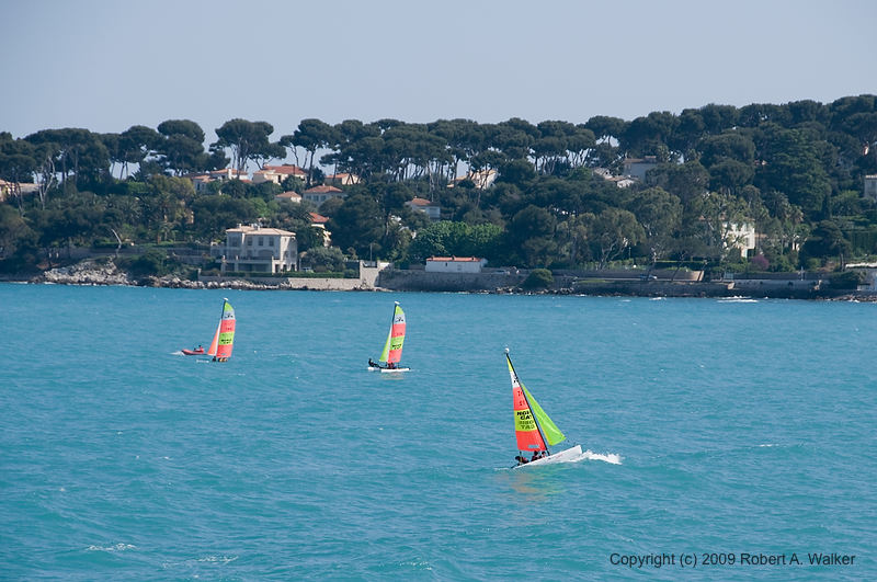 DSC_0726.jpg
