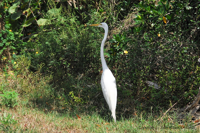 DSC_1274.jpg