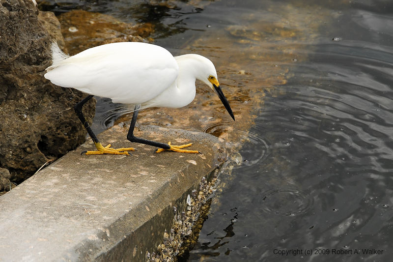 DSC_1359.jpg