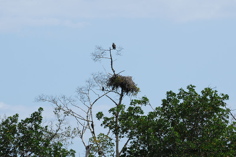 DSC_1384.jpg
