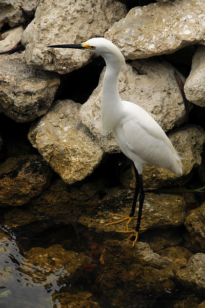 DSC_1560.jpg