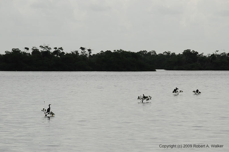 DSC_1589.jpg