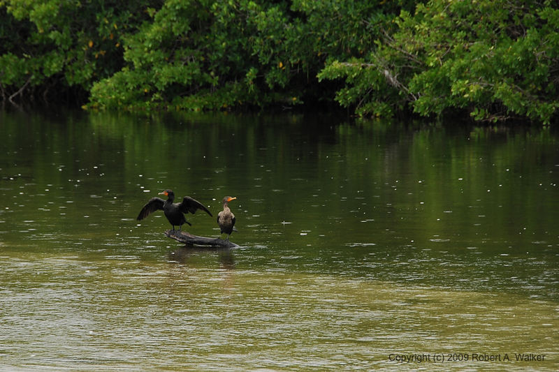 DSC_1610.jpg