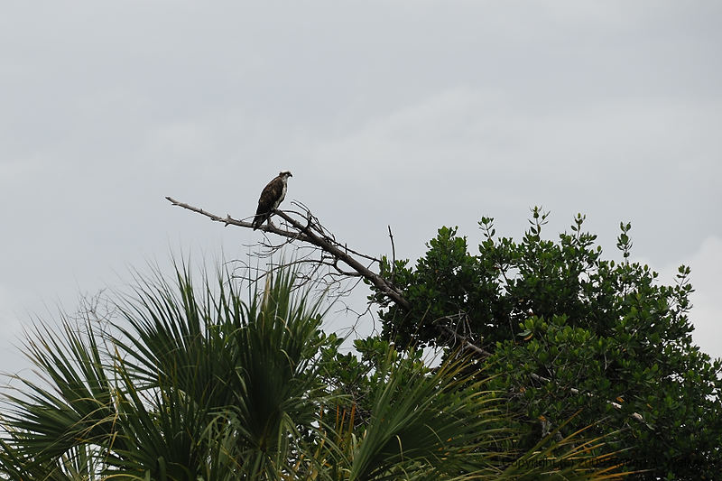 DSC_1936.jpg