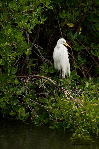 DSC_1956.jpg