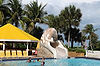 Pool at Sundial Beach & Golf Resort